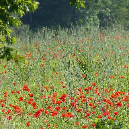 Vila Au Ptit Coquelicot Houyet Exteriér fotografie